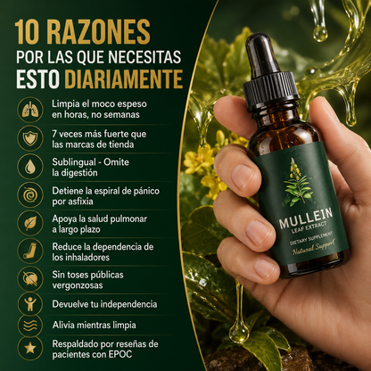 Mullein Gotas de Limpieza Pulmonar